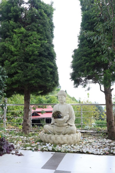 Peaceful Buddha statue surrounded by greenery at Shivalaya Resort by botanix, symbolizing tranquility and mindfulness